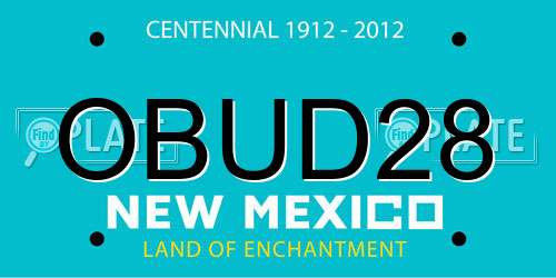 OBUD28 New Mexico License Plate