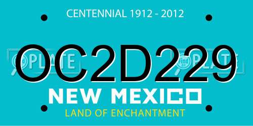OC2D229 New Mexico License Plate