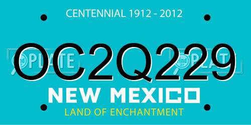 OC2Q229 New Mexico License Plate