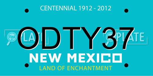 ODTY37 New Mexico License Plate