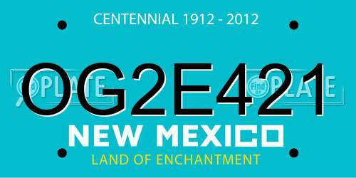OG2E421 New Mexico License Plate