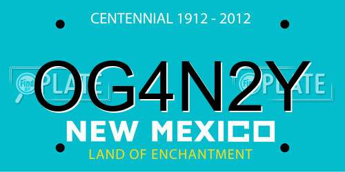 OG4N2Y New Mexico License Plate