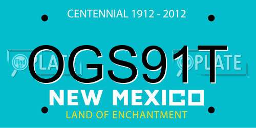 OGS91T New Mexico License Plate