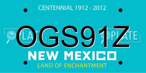 OGS91Z New Mexico License Plate