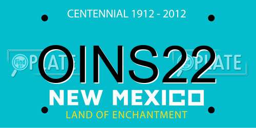 OINS22 New Mexico License Plate