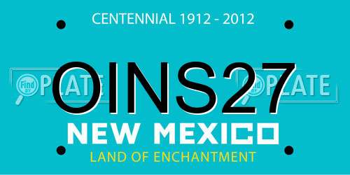 OINS27 New Mexico License Plate