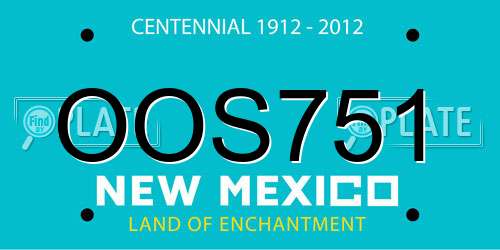 OOS751 New Mexico License Plate