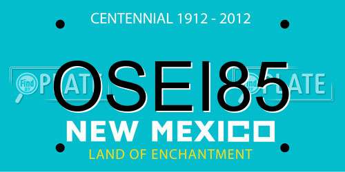 OSEI85 New Mexico License Plate
