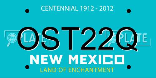 OST22Q New Mexico License Plate