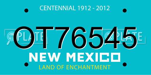 OT76545 New Mexico License Plate