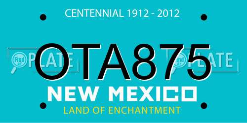 OTA875 New Mexico License Plate