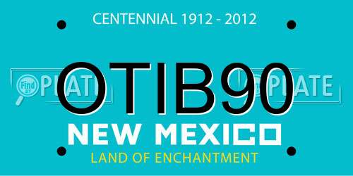 OTIB90 New Mexico License Plate