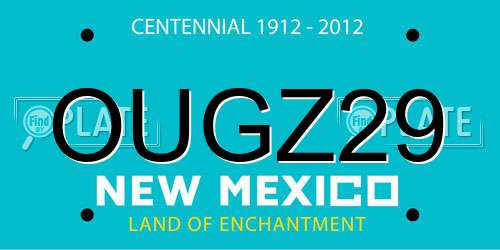 OUGZ29 New Mexico License Plate