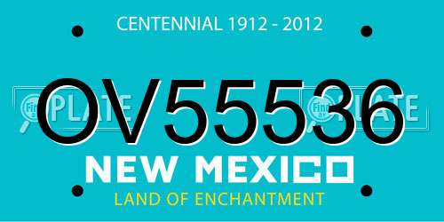 OV55536 New Mexico License Plate