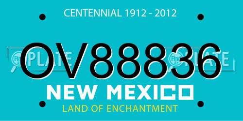 OV88836 New Mexico License Plate