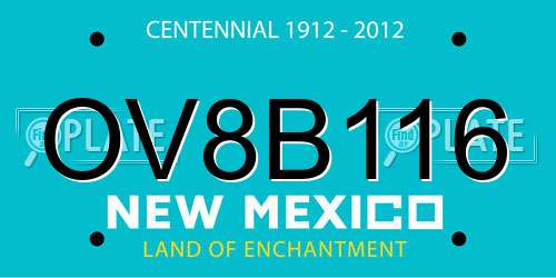 OV8B116 New Mexico License Plate