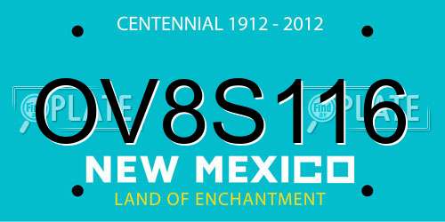 OV8S116 New Mexico License Plate