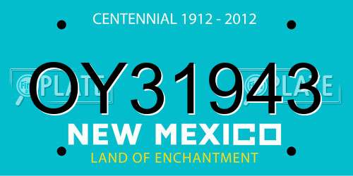 OY31943 New Mexico License Plate