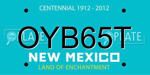 OYB65T New Mexico License Plate