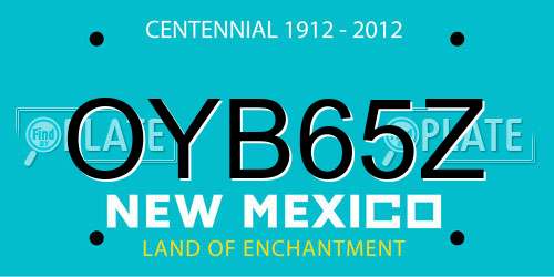 OYB65Z New Mexico License Plate