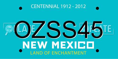 OZSS45 New Mexico License Plate