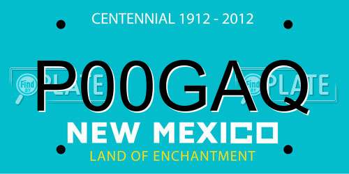 P00GAQ New Mexico License Plate