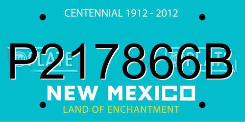 P217866B New Mexico License Plate