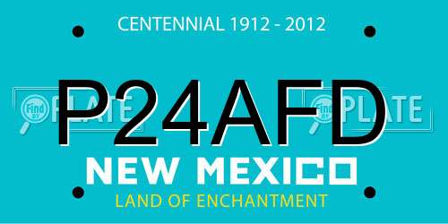 P24AFD New Mexico License Plate