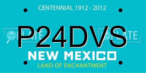 P24DVS New Mexico License Plate
