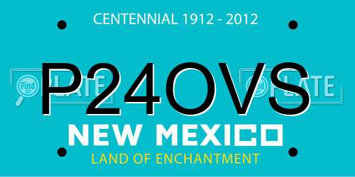 P24OVS New Mexico License Plate