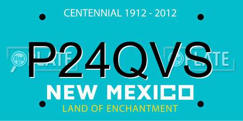 P24QVS New Mexico License Plate