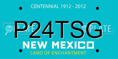 P24TSG New Mexico License Plate
