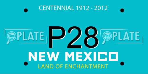P28 New Mexico License Plate