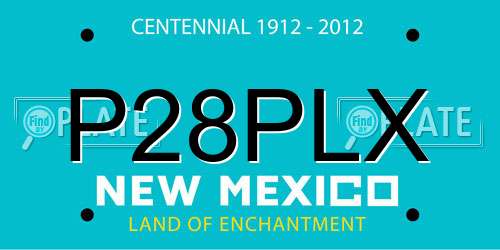 P28PLX New Mexico License Plate