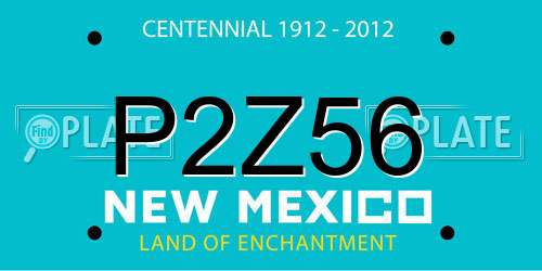 P2Z56 New Mexico License Plate