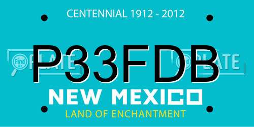 P33FDB New Mexico License Plate