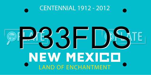 P33FDS New Mexico License Plate