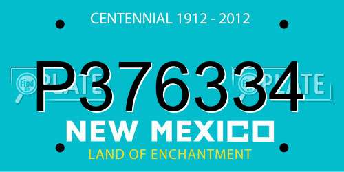 P376334 New Mexico License Plate