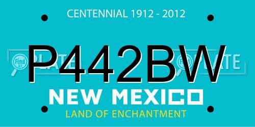 P442BW New Mexico License Plate