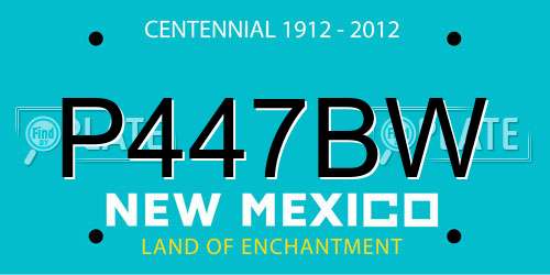 P447BW New Mexico License Plate
