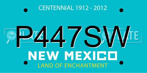 P447SW New Mexico License Plate