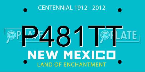 P481TT New Mexico License Plate
