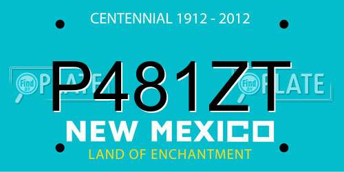 P481ZT New Mexico License Plate