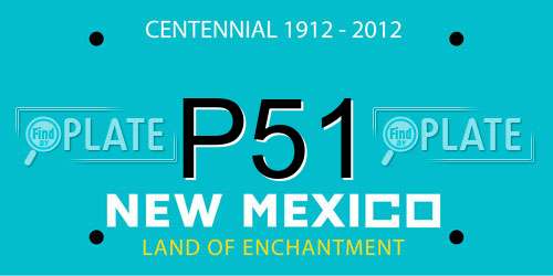 P51 New Mexico License Plate