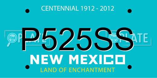 P525SS New Mexico License Plate