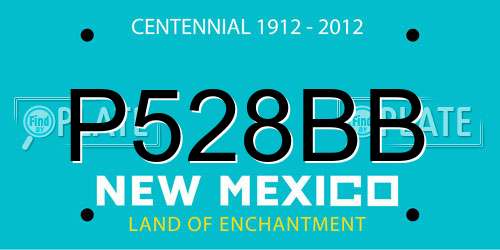 P528BB New Mexico License Plate