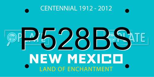P528BS New Mexico License Plate