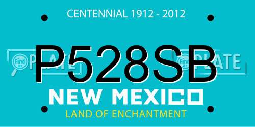 P528SB New Mexico License Plate