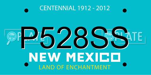 P528SS New Mexico License Plate