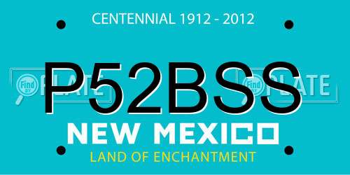 P52BSS New Mexico License Plate